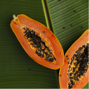 Papaya Fruit